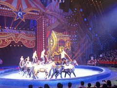 -珠海横琴长隆《卡卡虎奇遇记》