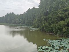 -东湖落雁景区