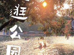 -晓港公园