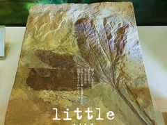-辽宁古生物博物馆