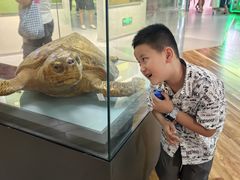 -陕西自然博物馆