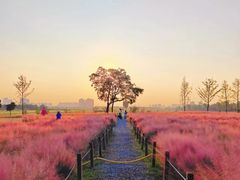 -汉长安城未央宫国家考古遗址公园