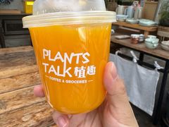 -北马山庄植趣咖啡