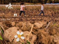 -开平碉楼文化旅游区马降龙景区