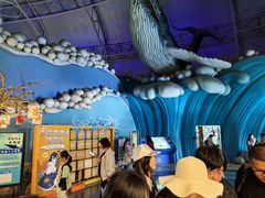 -烟台海昌鲸鲨海洋公园
