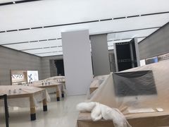 -Apple零售店(济南恒隆广场店)