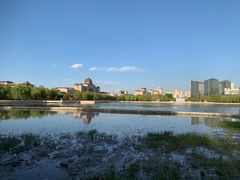 -莲花池公园