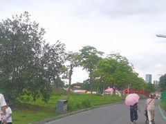 -光明小镇欢乐田园