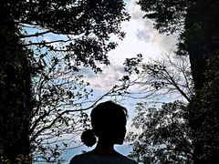 -七仙岭温泉国家森林公园