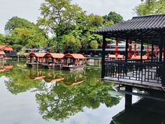 -侨美·唐荔园·40年地道粤菜