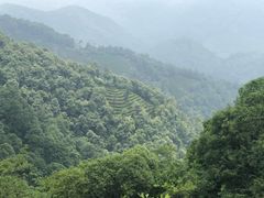 -西湖风景区十里琅珰-五云山