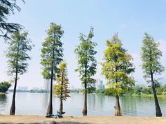 -飞来湖湿地公园