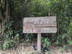 -梧桐山风景名胜区