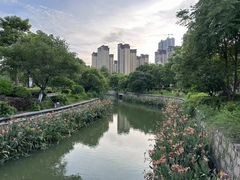 -龙江公园