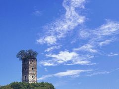 -江心屿景区