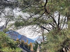 -潭柘寺景区