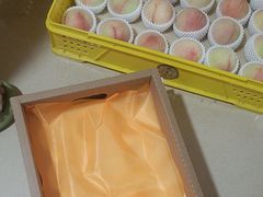 -老袁家蜜桃农场·阳山水蜜桃