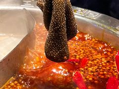 -朱氏胖子烂火锅(洪崖洞店)