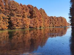 -上海海湾国家森林公园