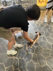 -Zoolung Zoolung动物主题公园(海信广场店)