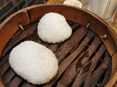 茨毛圆子-双塔老饭店
