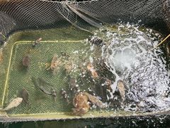 -蓝湾碧波·老字号·疍家非遗海上餐厅