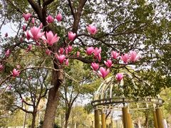 -宁波九龙湖开元度假村