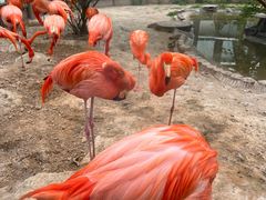 -荆州中山公园动物园