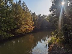 -上海海湾国家森林公园