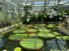 -国家植物园南园