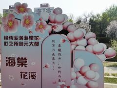 -海棠花溪(元大都城垣遗址公园)