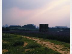 -光明小镇欢乐田园