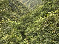 -湖州龙王山景区