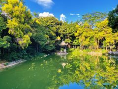 -深圳国际园林花卉博览园