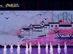 -DC少儿舞蹈培训中心(人民桥店)