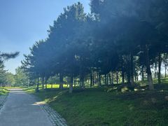 -莫子山公园