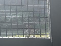 -武汉动物园