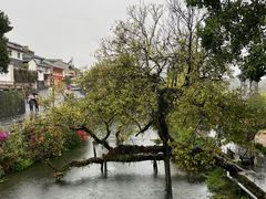 -和顺古镇