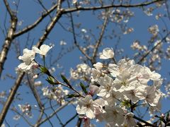 -徐家汇源景区-衡山公园