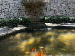 -燕晗山郊野公园