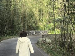 -都江堰中华大熊猫苑
