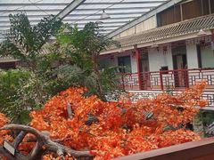 -老山东·山东菜(鲁菜名店)