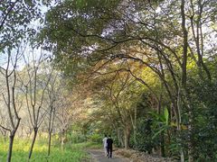 -福清灵石山国家森林公园
