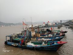 -天天渔港海鲜酒家(石浦玉泉路店)