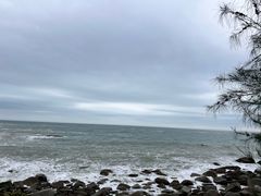 -广东惠东海龟国家级自然保护区