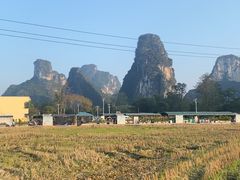 -明仕田园