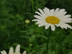 -西湖风景区-江洋畈生态公园