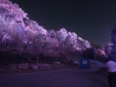-龟山风景区-龟山电视塔