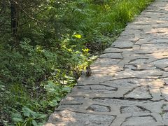 -帽儿山风景区