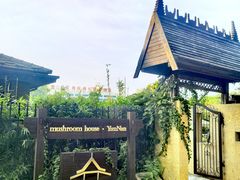 -松茸小馆·云南特色餐厅